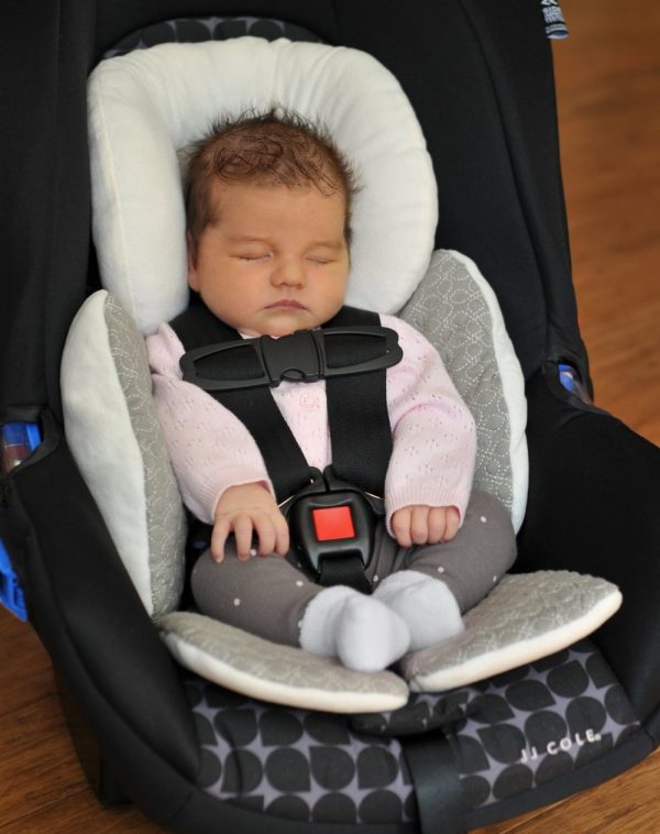 Baby's Thermal Insulation Car Seat