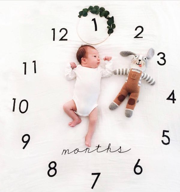 Baby Milestone Photography Blanket