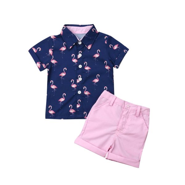 Girl's Flamingo Printed Summer Clothing Set