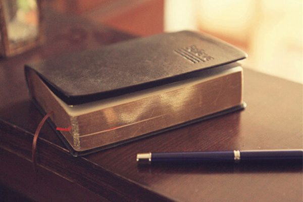 Vintage Notebooks with Thick Leather Cover - Image 5