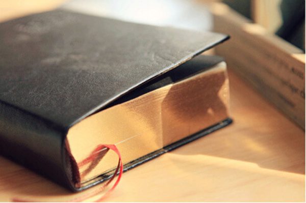 Vintage Notebooks with Thick Leather Cover - Image 6