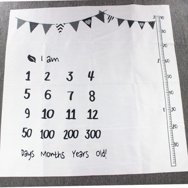 Baby Milestone Photography Blanket - Image 6